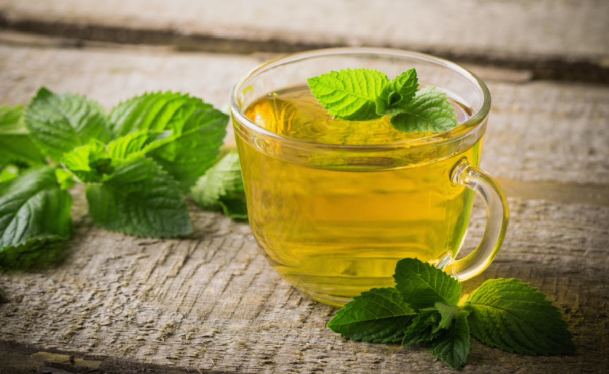Chá de alfavaca: 5 benefícios para a saúde e como prepará-lo
