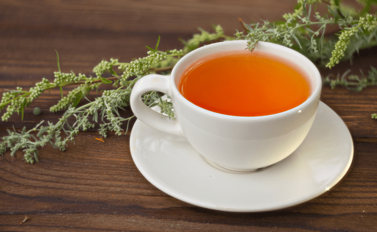 5 benefícios surpreendentes do chá de artemísia para o seu corpo