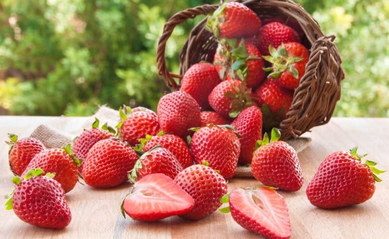 Como conservar morangos: 5 formas práticas de manter o frescor da fruta