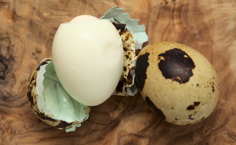 Como descascar ovo de codorna: 5 dicas para facilitar o trabalho culinário