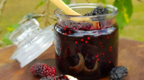 8 receitas de geleia de amora que vão adoçar o seu café da manhã