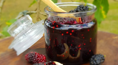 8 receitas de geleia de amora que vão adoçar o seu café da manhã