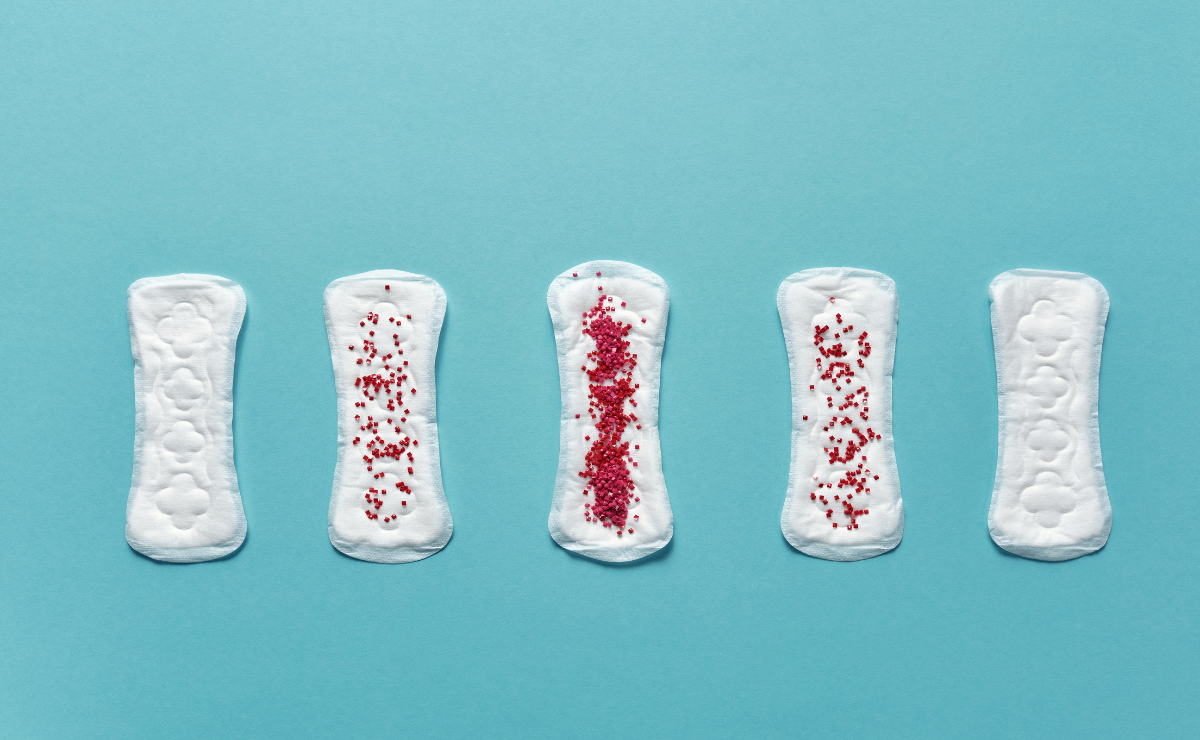 Para todas as pessoas que menstruam: um guia didático sobre menstruação