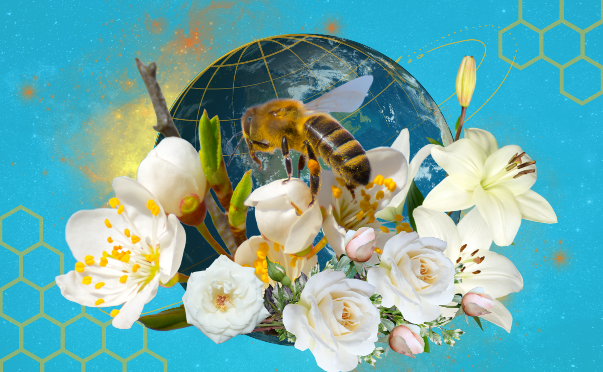 Nós, o futuro e a extinção das abelhas