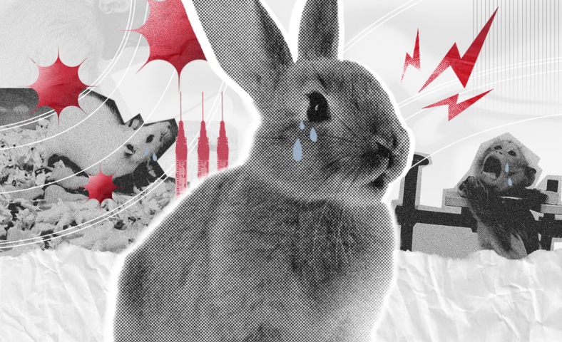 O futuro é cruelty free: por que apoiar marcas livres de testes em animais?