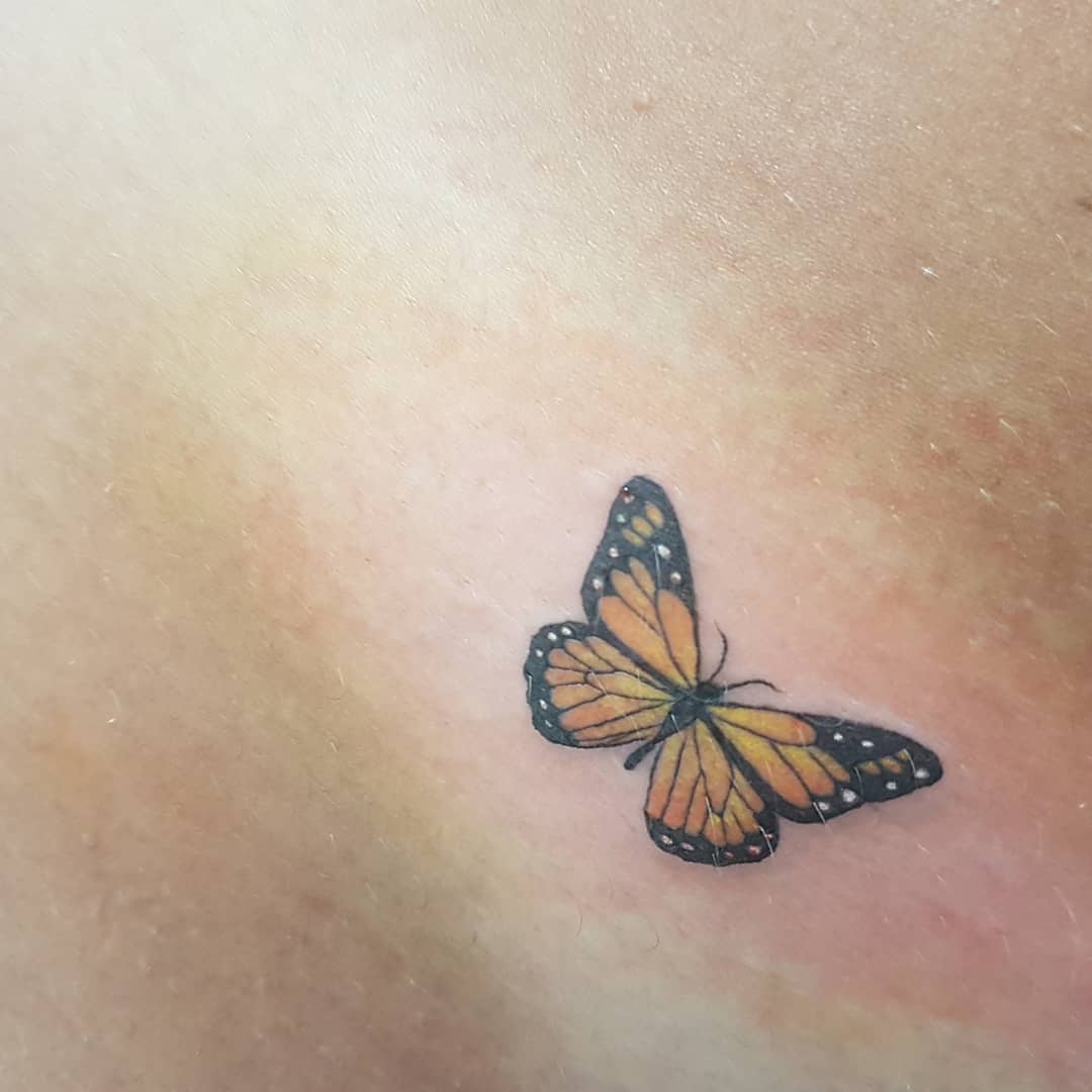 tatuagem de borboleta na virilha